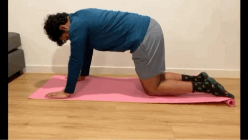 animation of how to do a table top push up on knees